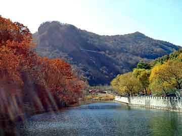 新澳门二四六天天彩，申彗星女友